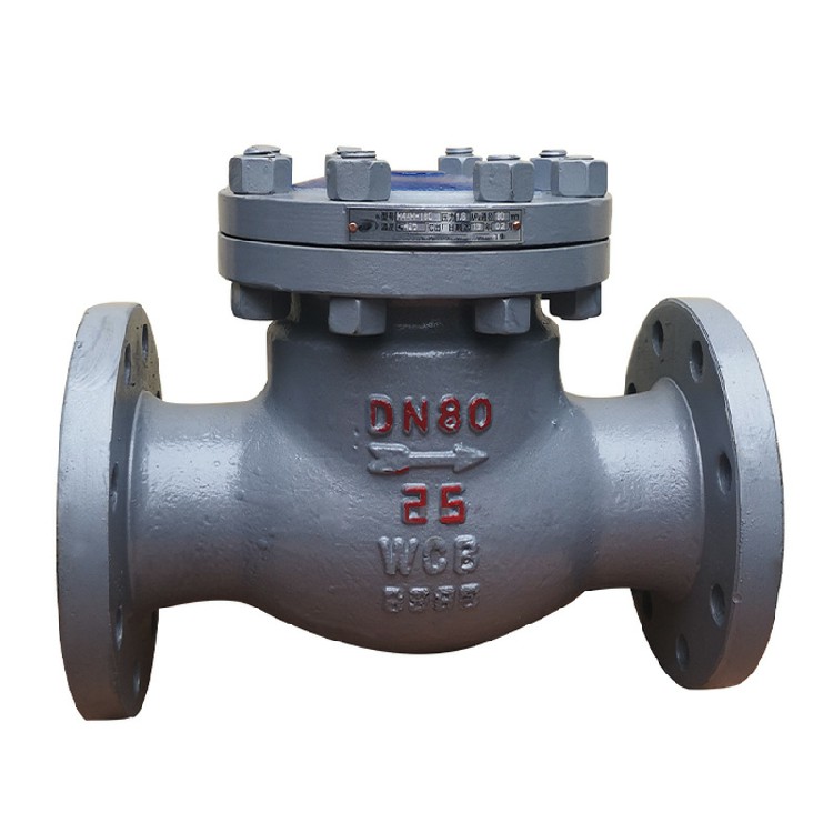 Carbon steel check valve
