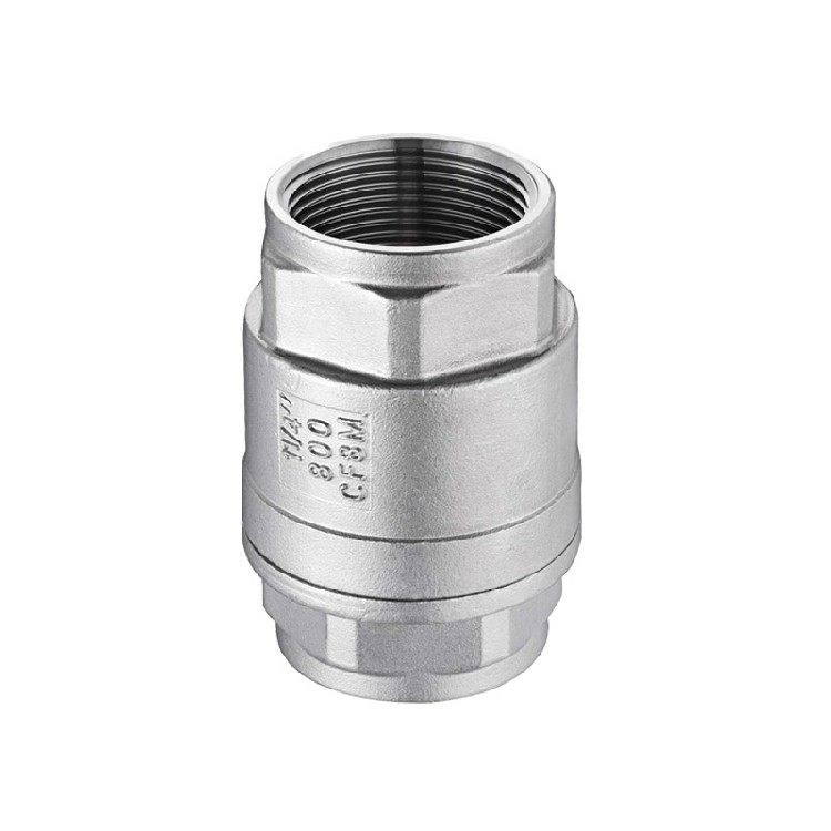 Vertical check valve