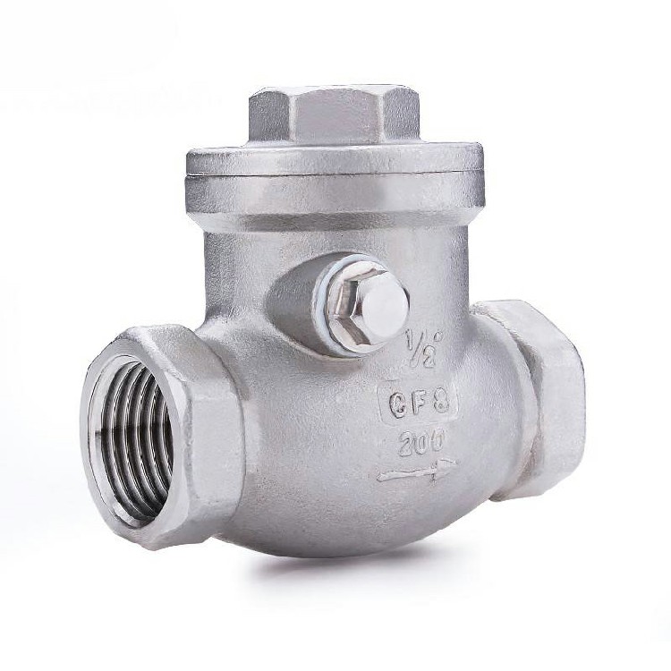 Swing Check Valve